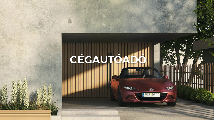 Cégautó garázsban parkolva, a cégautóadó témájához kapcsolódó illusztráció